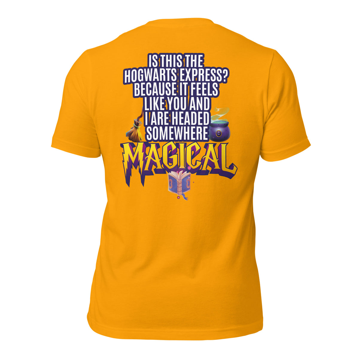 Is This the Hogwarts Express? Because It Feels Like You and I Are Headed Somewhere Magical Men's t-shirt