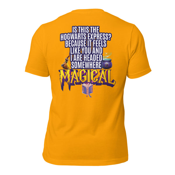 Is This the Hogwarts Express? Because It Feels Like You and I Are Headed Somewhere Magical Men's t-shirt