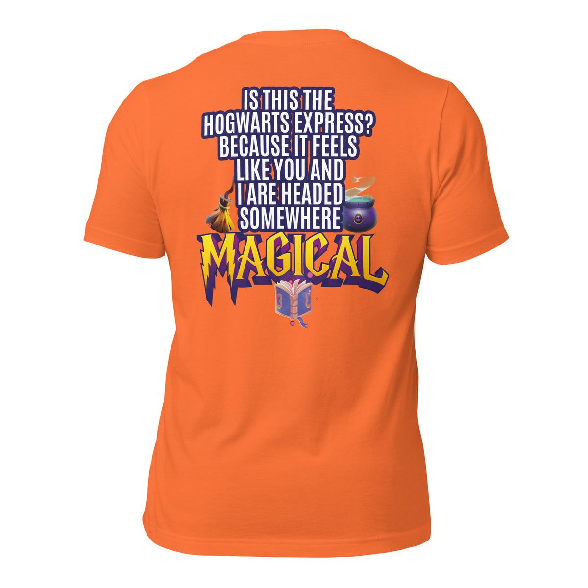 Is This the Hogwarts Express? Because It Feels Like You and I Are Headed Somewhere Magical Men's t-shirt